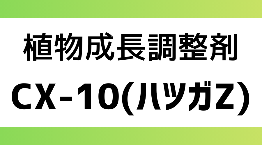 CX-10(ハツガZ)｜休眠打破