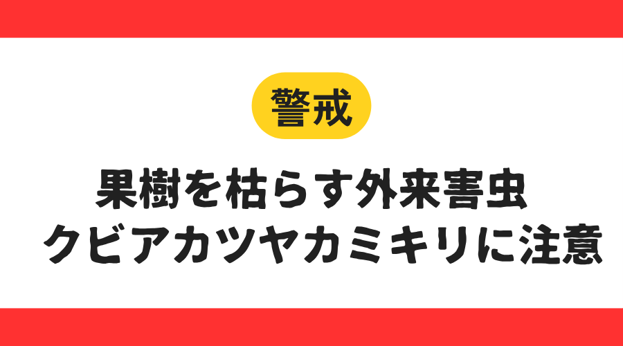 クビアカツヤカミキリへの警戒をお願いします