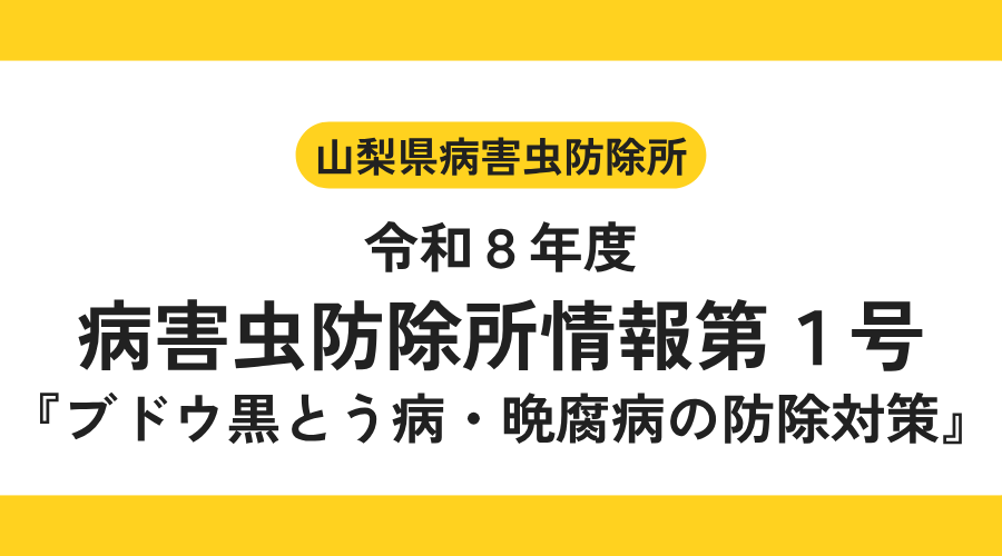 ブドウ黒とう病・晩腐病の防除対策　病害虫防除所情報 第1号