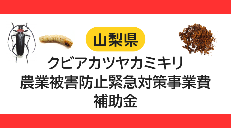 【山梨県】クビアカツヤカミキリ防除対策補助金のご案内